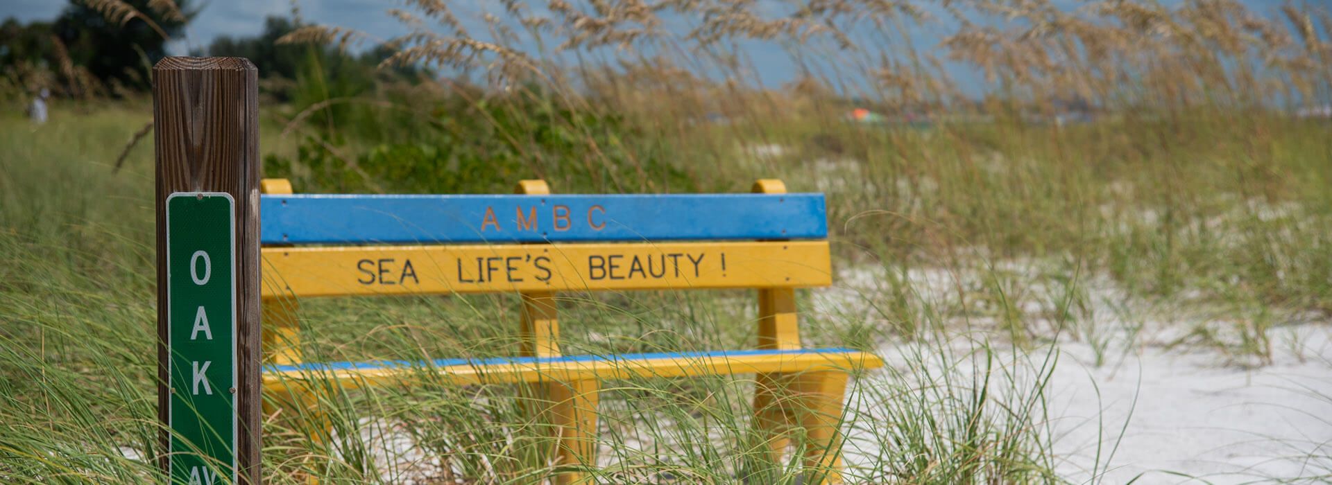 anna maria island bench on beach