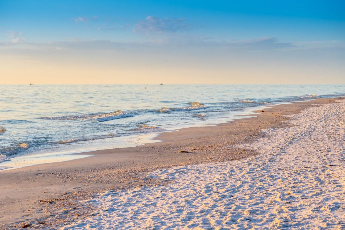 shutterstock_1325536343 (1) | Fran Maxon Real Estate anna maria island beach
