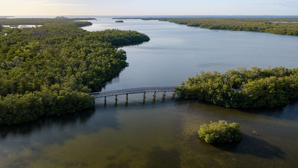 aerial shot of a bridge at the robinson preserve in bradenton, florida